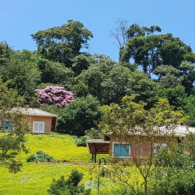 Recanto Dos Beija Flores, Chale Lantana C Монте Алегре до Сул Екстериор снимка