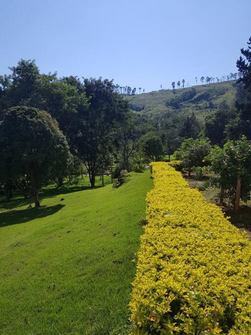 Recanto Dos Beija Flores, Chale Lantana C Монте Алегре до Сул Екстериор снимка